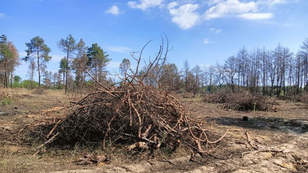 � ��������������� ����������� �������� ���� �������� ���� �� ������ � ���������