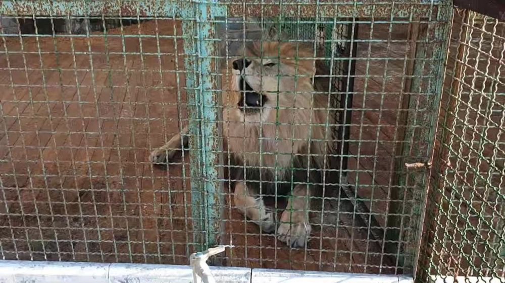 ��������� ���������: �������� ���������� �� ��������� ������ � ������������ �� ���� ������� ������������ � ����������� ������ �� ����������