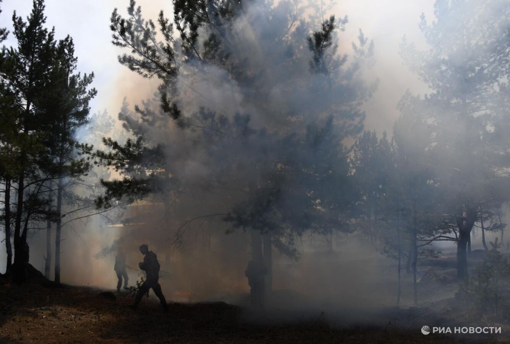 � ������ �������� 39 ��������� ������� �� �����