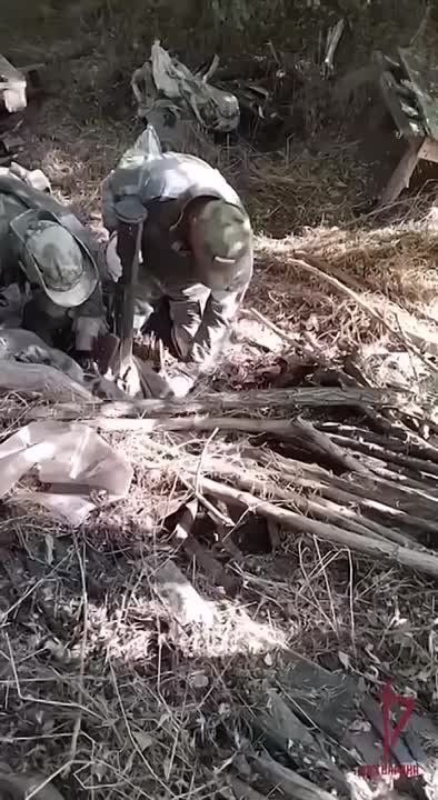 ����� �������: ������������ ���������� ����� ��� � ������� ������������ ������������ � ���������� �������