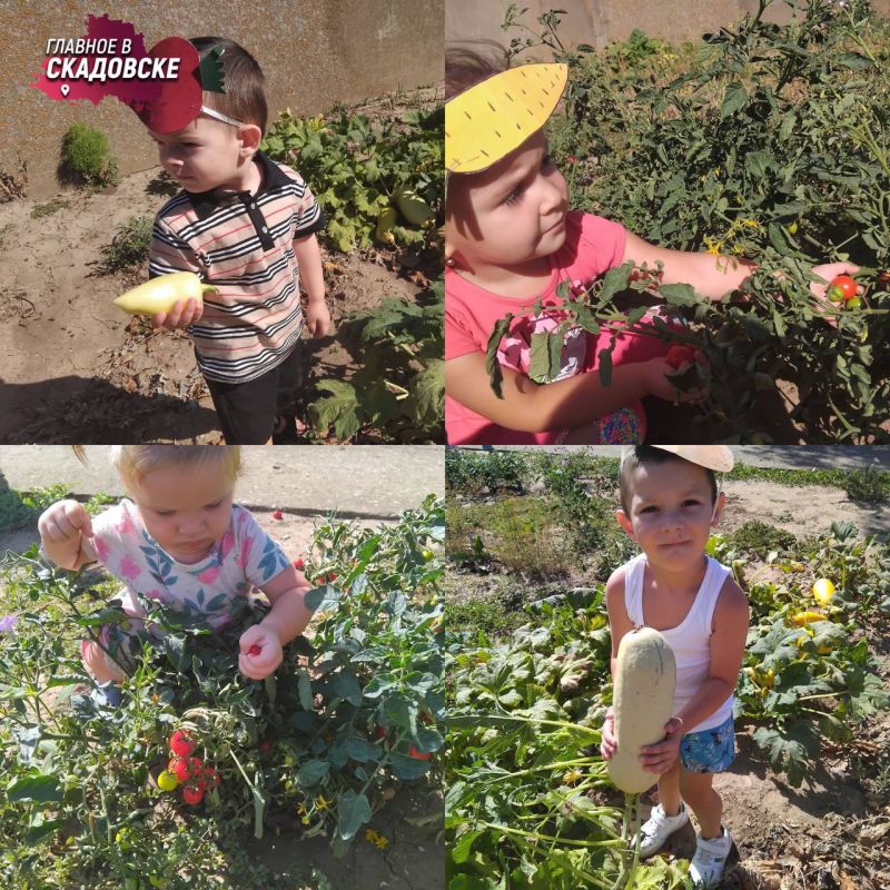 � ����������� ����-���� ������������ ������� �����������, ���������� �� ���������� ������� � ��������