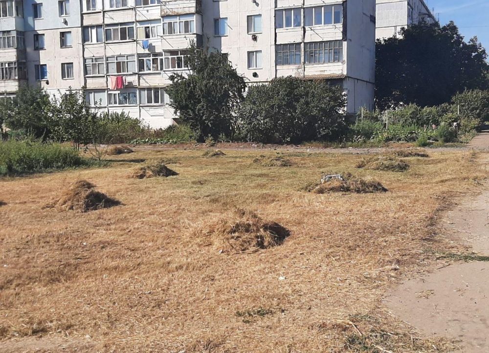 ��� "���������� ������������" ���������� ���������� ���������������� ����������� �������������� ������