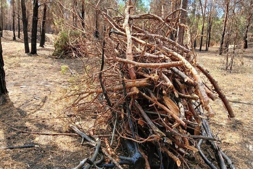 ��������� ���� � ���������� ������� �������� �� ��������� � ������