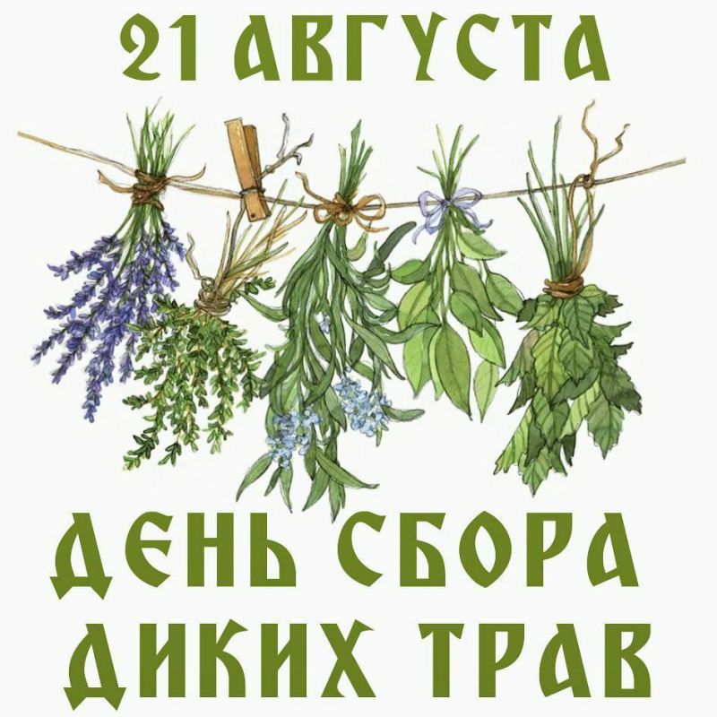 ��������� 21 �������. ���� ����� ����� ����