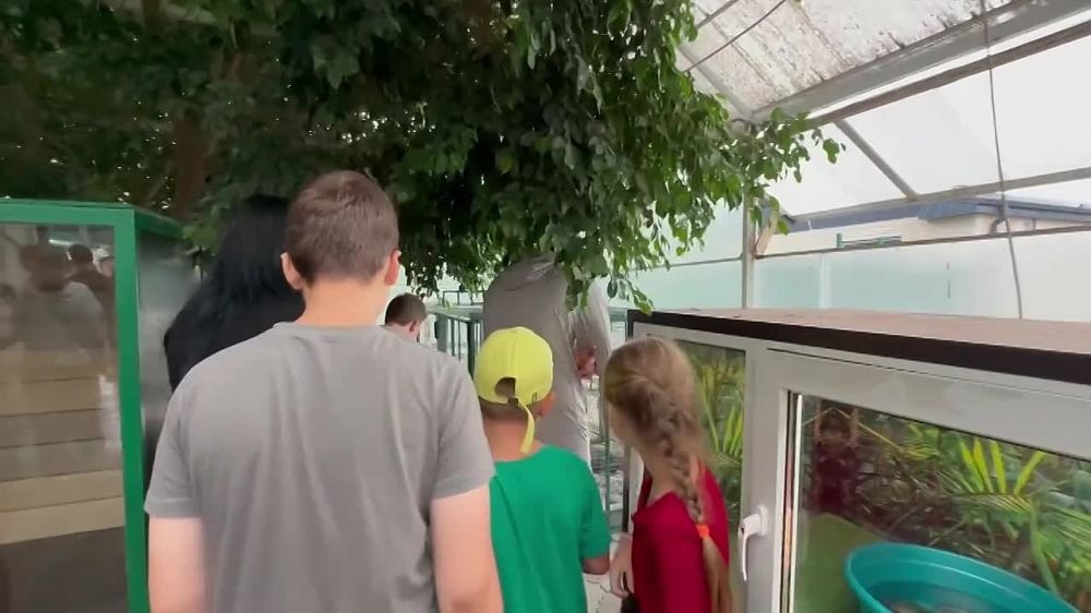 ���� �� ���������� ������� �������� ������� � ���������-��������