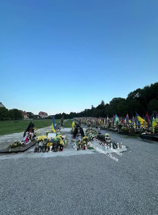 �� �������� ���� �� ������ ���������� ����� ������