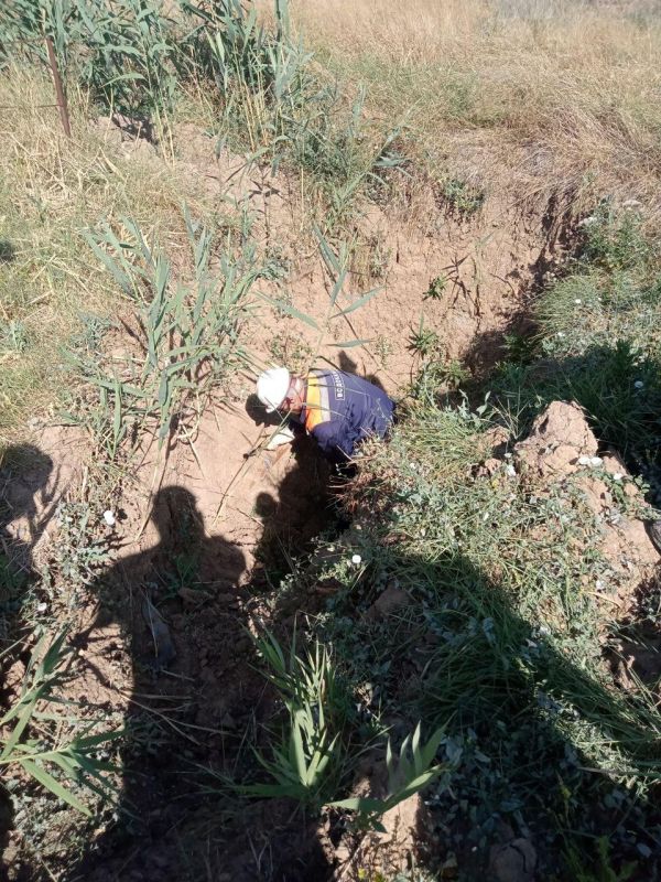 ��������� ����������� ��������������� ������������� � ���� ��������