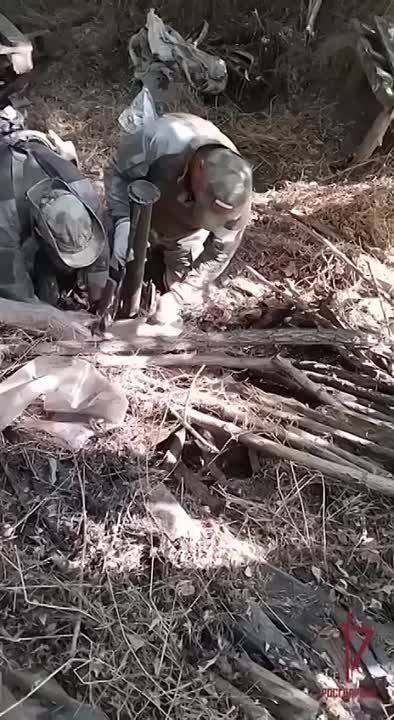 ������������ ���������� ����� ��� � ������� ������������ ������������ � ���������� �������