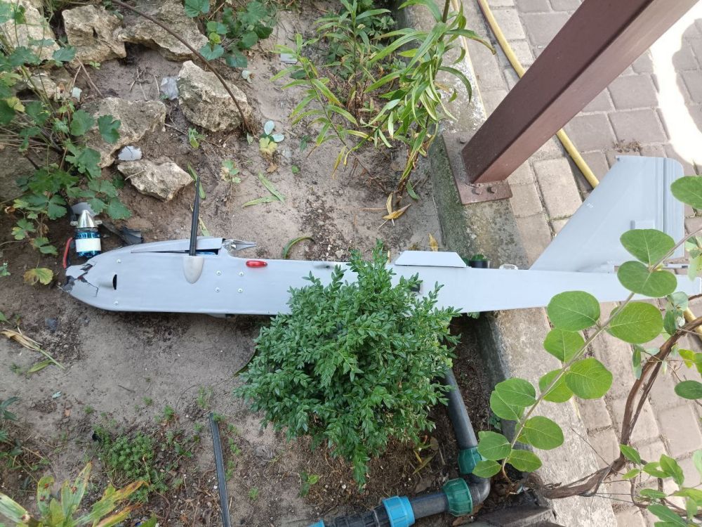 ����� � ������. ����� �������� ����� ��� ��������