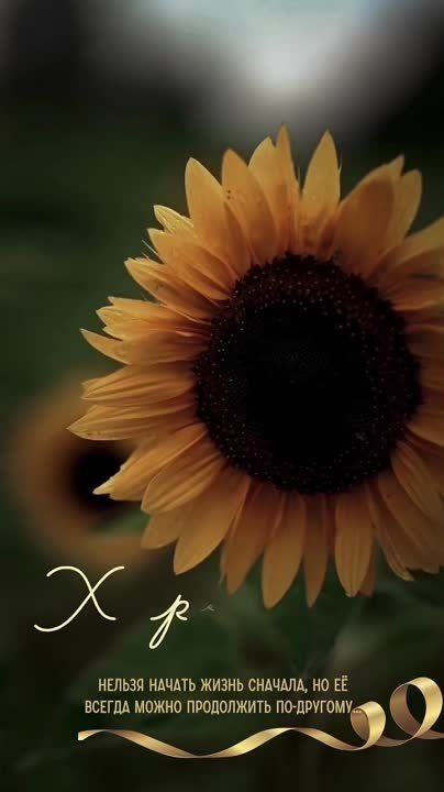 �������� ������ ����!