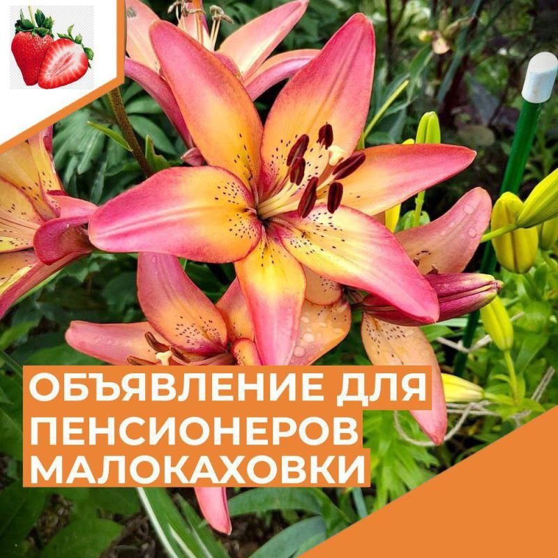 ��������� ������ �����������, ���������� ������!