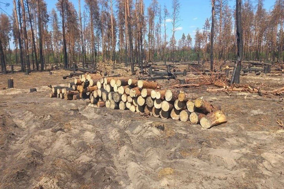 � ��������������� ������� ��������� �������� ������� ���