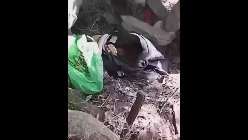 ����� � �������, ��������������� ��� �������� ��� ��������� �� ���������� ���������� �������