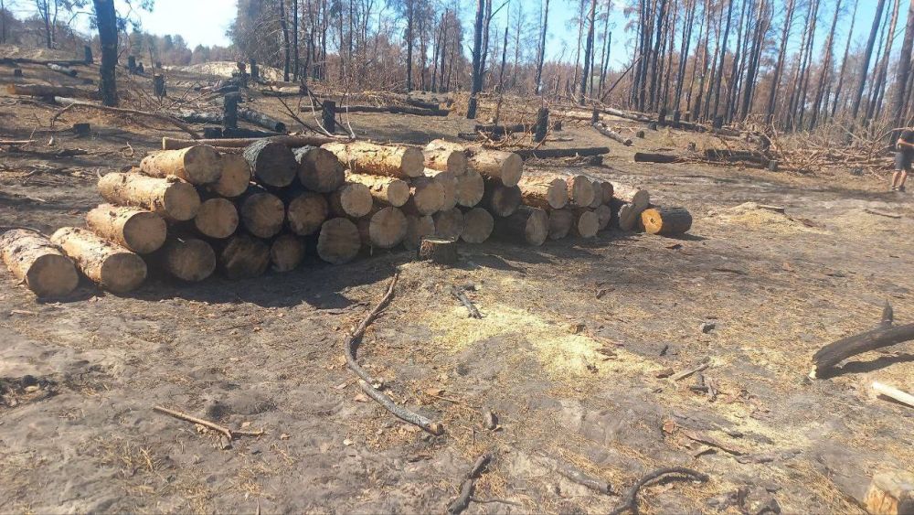 � ����������� ����������� ���� �������� ���������� ����� ������ ��������, ��� ��������� �������� ����������� ������� � ������������������ �������