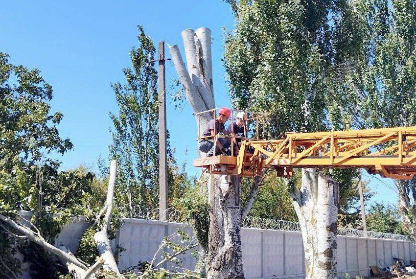 �������������һ ����� ��������� ������ � ���������� �������