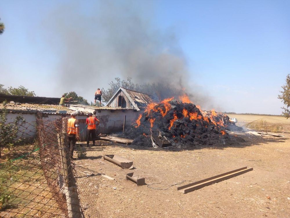 ������� ������ � �������� �������� ����� � ���� ������ ���������