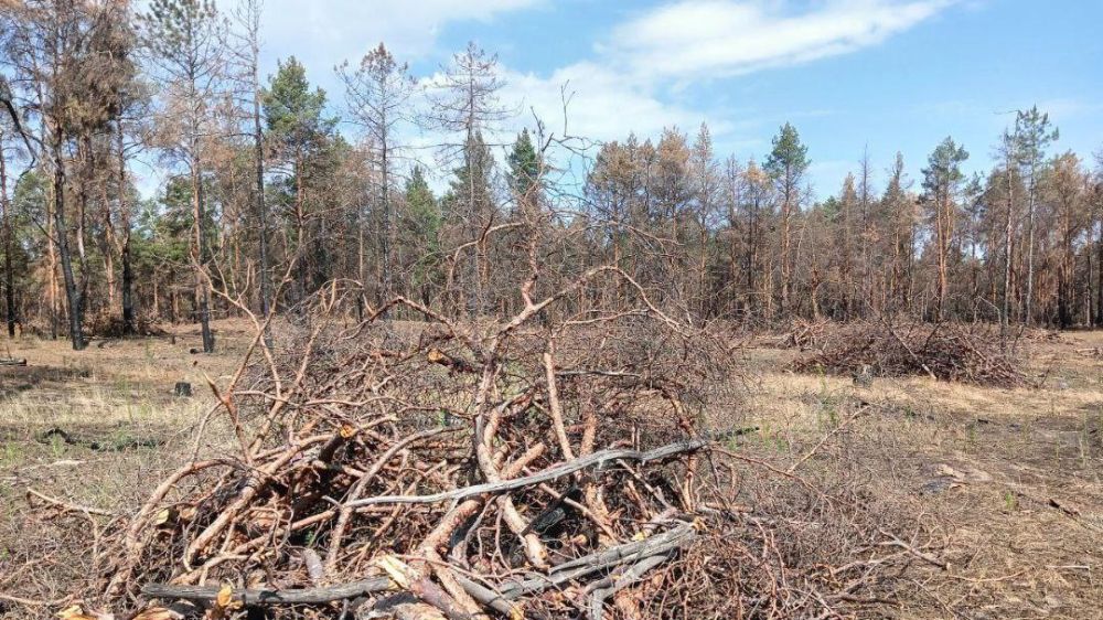 � ��������������� ����������� �������� 5 ������ ���� �� ������ � ���������