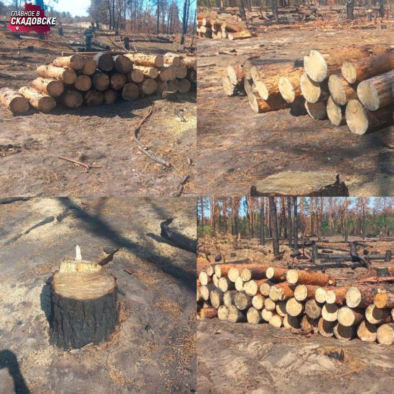 ���������� ���������������� ��������������� ��������� ������� ���������� ������� ������ �������� � � ������������� ������������ �������