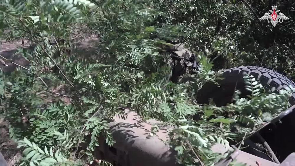 ����-��� ������ � ���� ����������