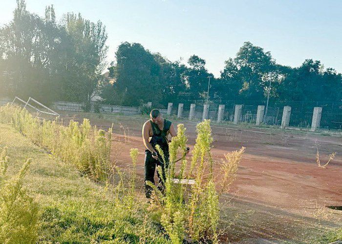 ��������߻ �� �������� ���������