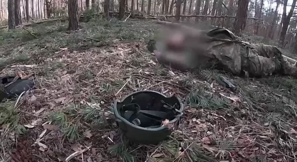 ���� ����� ���������� ������ ������� ����