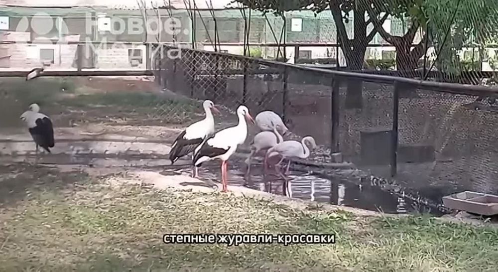 ���������� ��� �������������� ���� � ���, ��� ���������� ��������-���� ���������, �������� ������ �������