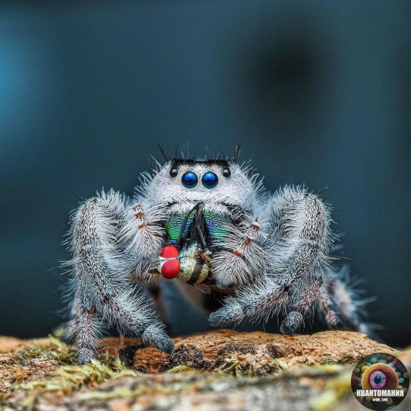 ��� � ����� ������������� ��������� �������, ����������� � ������� ����� �����-�� ����, ������� ��������