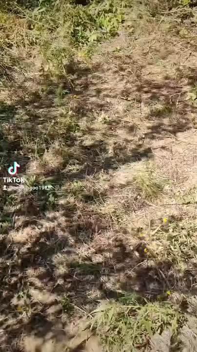 ����� �� ������������ �������