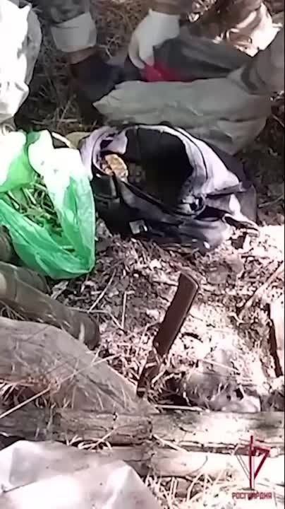 ���������� ���������� ����� ��� � ������� ������������ ������������ � ���������� �������