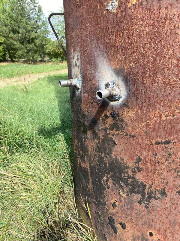 ������� ����������� ������������� � ���� ��������