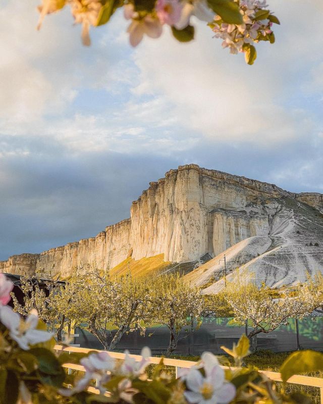 ����� ������� ����� �����