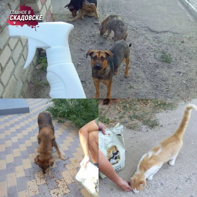 � ���������� ������� ������ ����� ������ ��������� �������� � ���� �� ������� ����� ���� ���� � ������ ������������� �����������