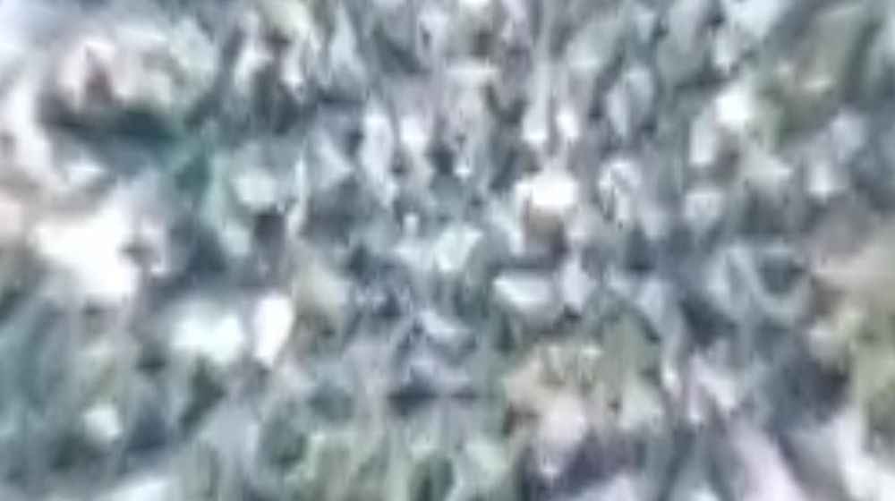 ���� �� �������: � ��� � ����� ������� �� ���������, � ������� �� ��������