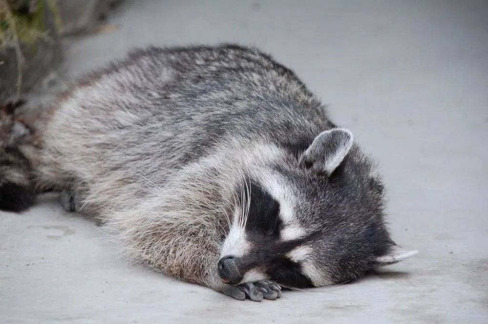 ���� �� �������: ��������� ����, ������!