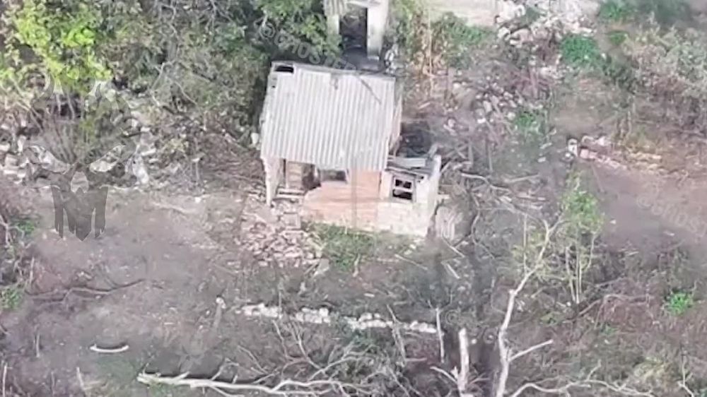 ��������� FPV ������ "�������" ���� ���������� � ���������� ������ �����