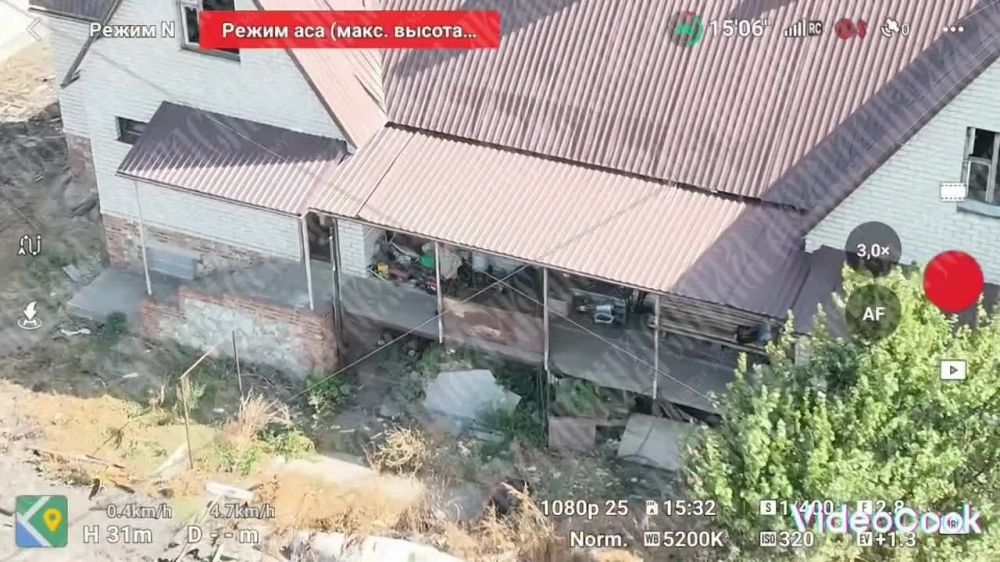 ����� �����: ���������� �����������. ��� �������� ���� ��������, ��� ����� ��������� � ��������� ���� �������