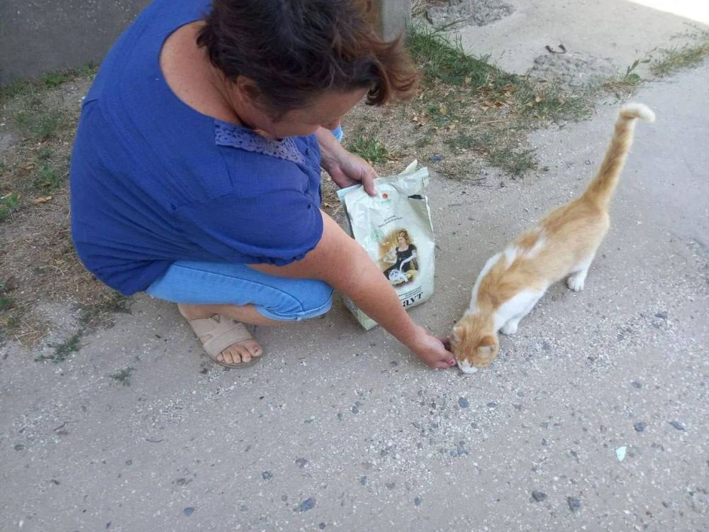 ���������� ������������� ����������� ����������� ������� ����� ������ ��������� ��������