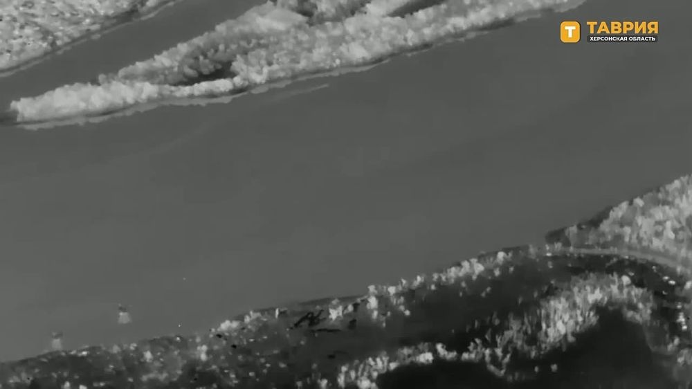 ������� ���� "����" �� ������ ���������� ��������� ����� ���� ��� � ��������� ���� ������ ������ � ���������� �������