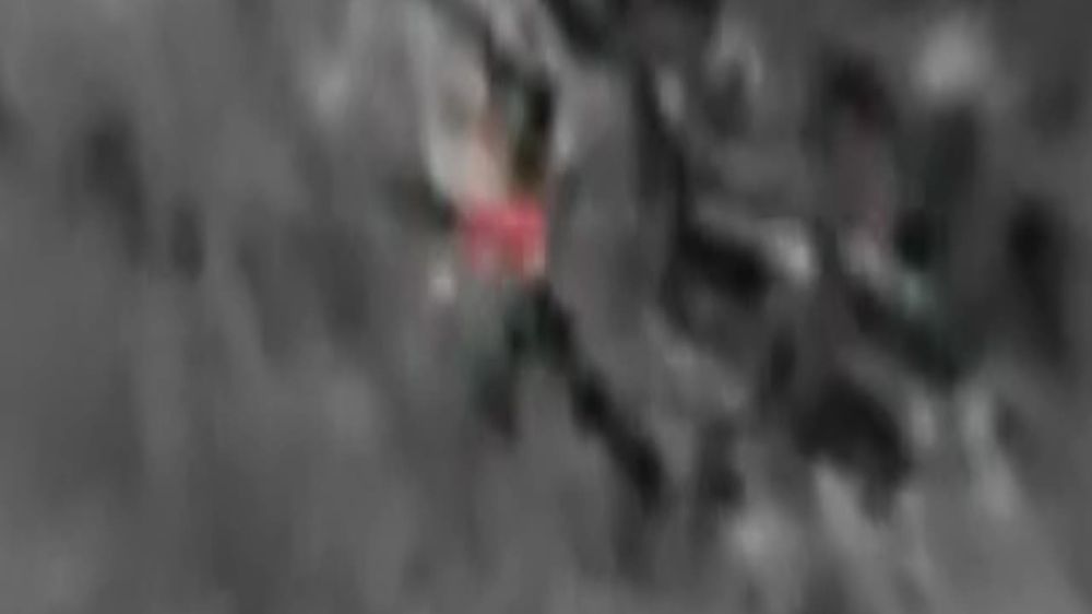 ���� �� �������: ���� ��� ���������. ���� ������������ ������� ������� ������ �� ��� ���������� "����� �������" �������. ��...