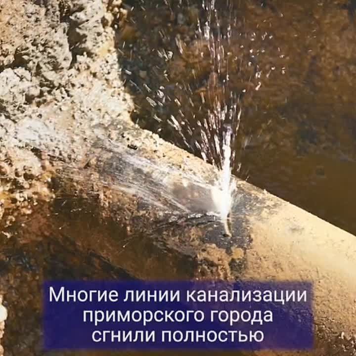 ������ ����������: ����� ��� �������� �������� ��� � ����������� ������������� ����������