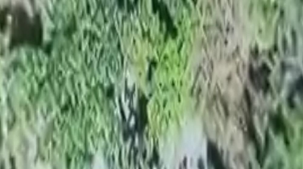 ���� �� �������: � � ���� ��������� ��������� ������� ���������� �� ��������