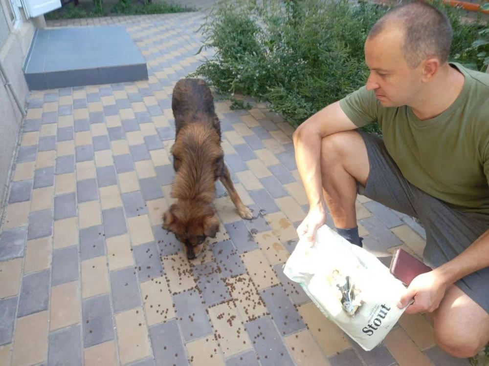 ���������� ������������� ����������� ����������� ������� ����� ������ ��������� ��������