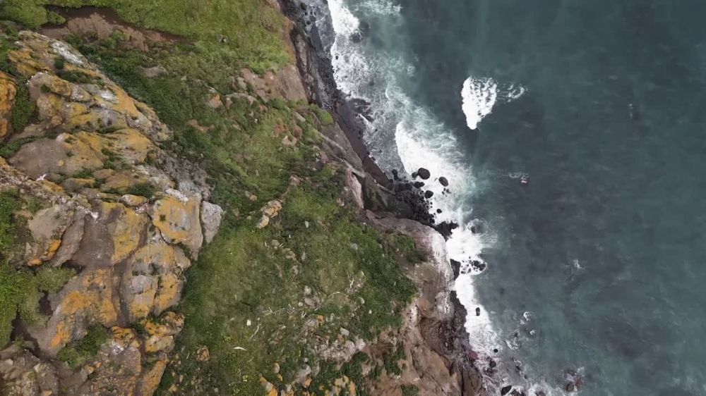 ����� ��������� ��� ������ ������