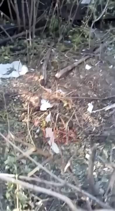 ������� 810-� ������� ������������� ��������� ������, ������� � ������� �������