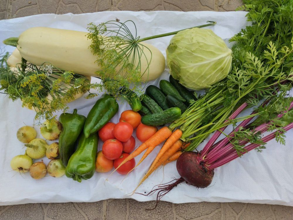 � ������ ����� �����������!