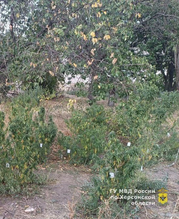 � ����������������� ������ ������������ ���������� ����� ������� �� ������� �������� ������