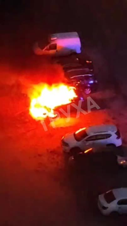 � ����� ���������� ������ ������