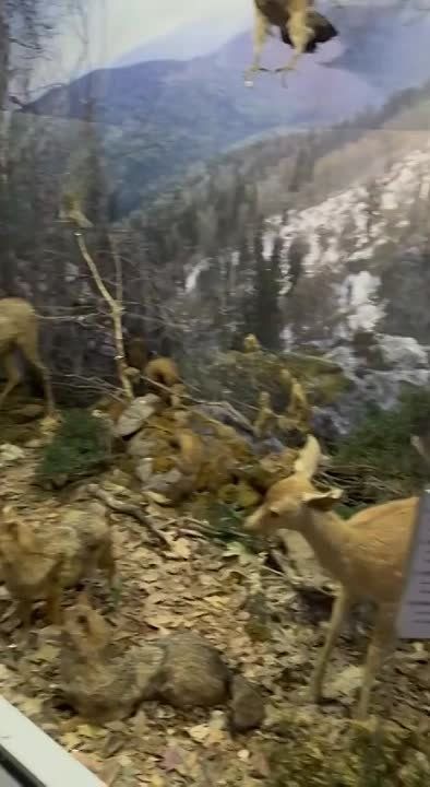 ��� ���� ����������� �� ���������� ������� � ������ ����������� ���������� ���������