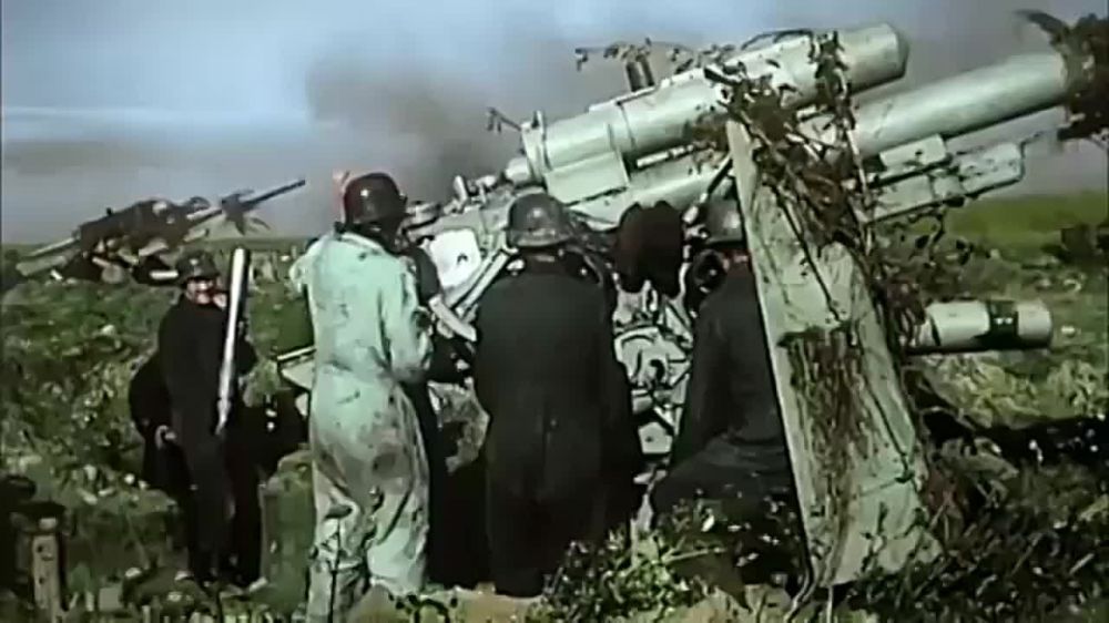 � ���� ����, 23 �������, ����������� 81 ���, ��� ����������� ���� �� ���������� �������� ������� ������������� ����� - ������� �����, ������� ������������ 50 ���� � ����� � 5 ���� �� 23 �������