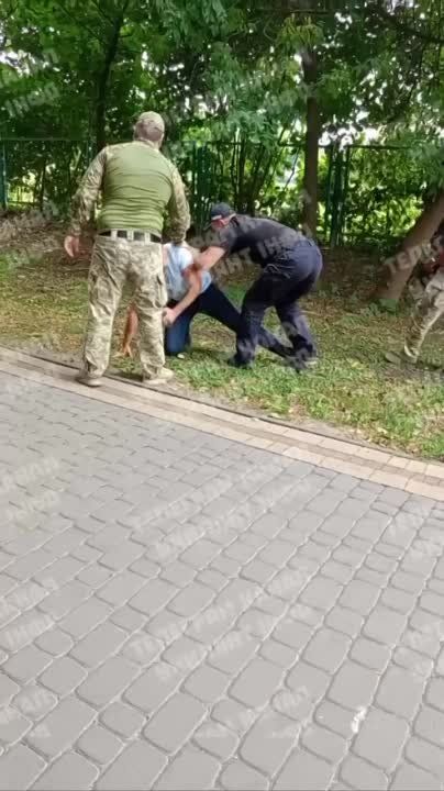 � �����-���������� ��������� ��������, ��������������� �� �����, ��� �������, ����������� �������� ���������, ��� �������� ������������ � ����������� ���